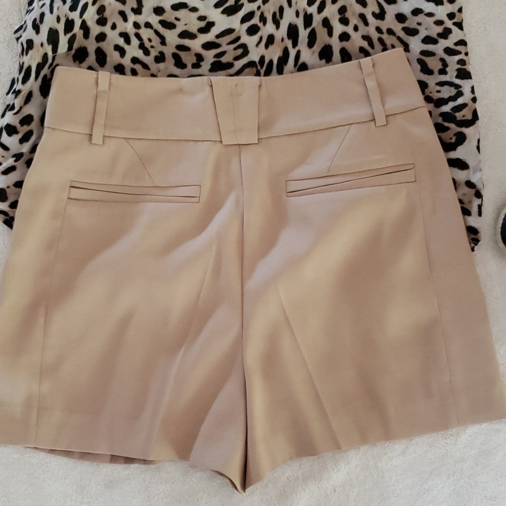 Shorts - Picture 5 of 8